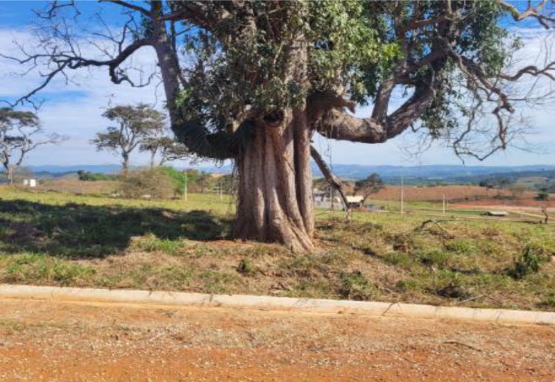 Lote rural com área de 1.000m² - São Sebastião da Bela Vista/MG